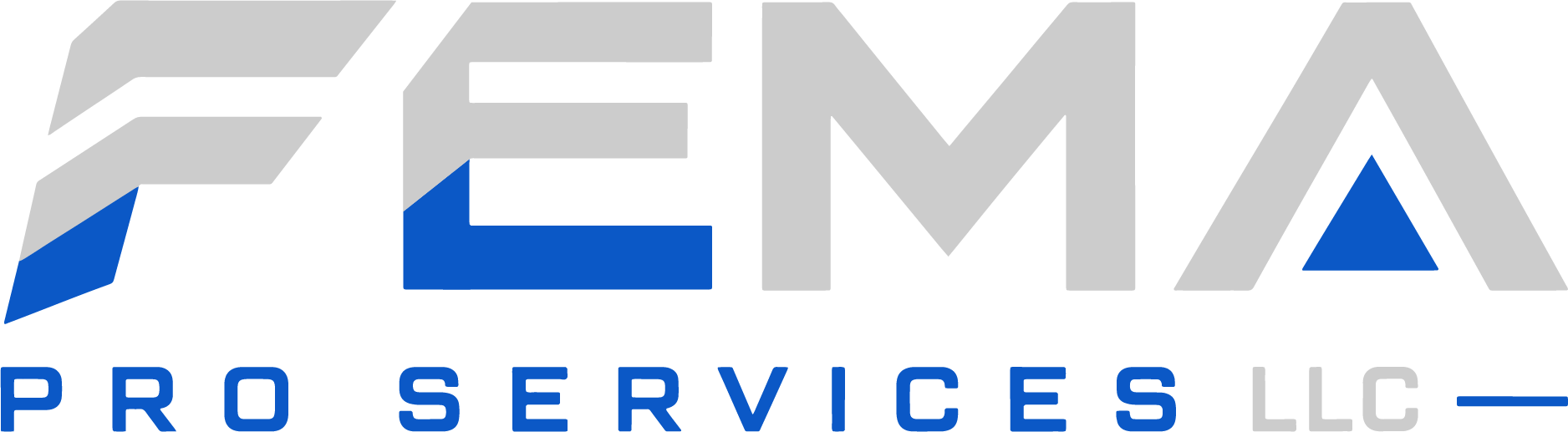 FEMA Pro Services LLC
